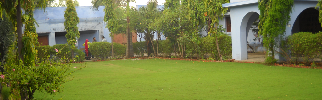 Image Seven